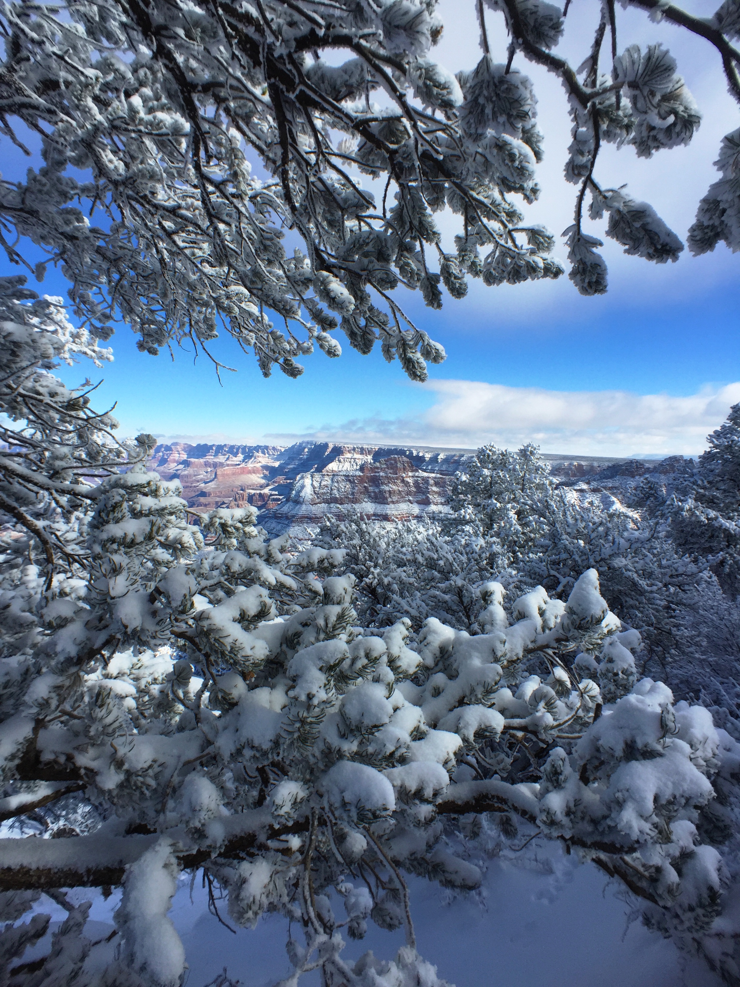 Explore the Grand Canyon in Winter