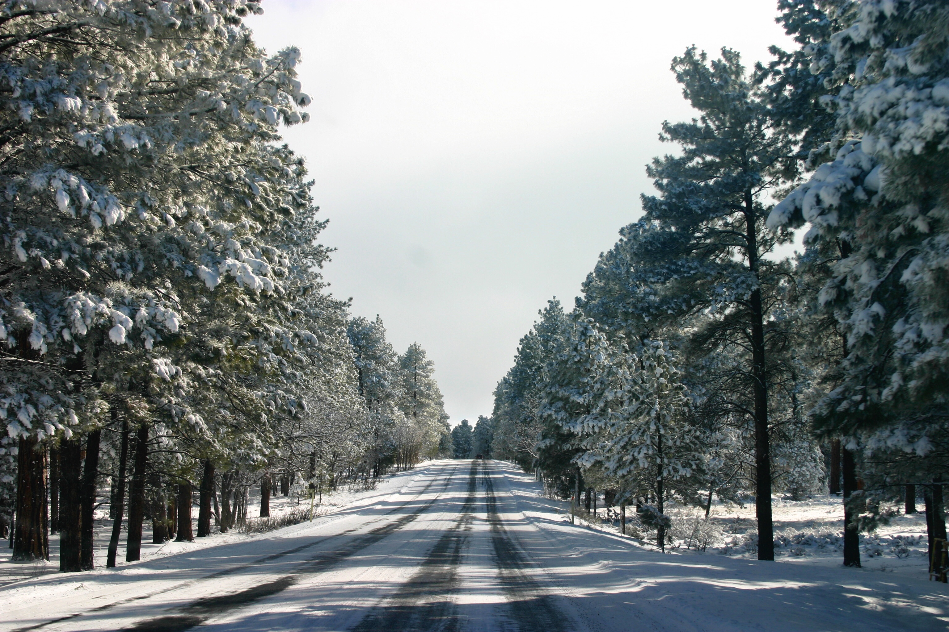 Explore the Grand Canyon in Winter