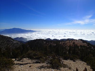 Summit Mt. San Gorgonio