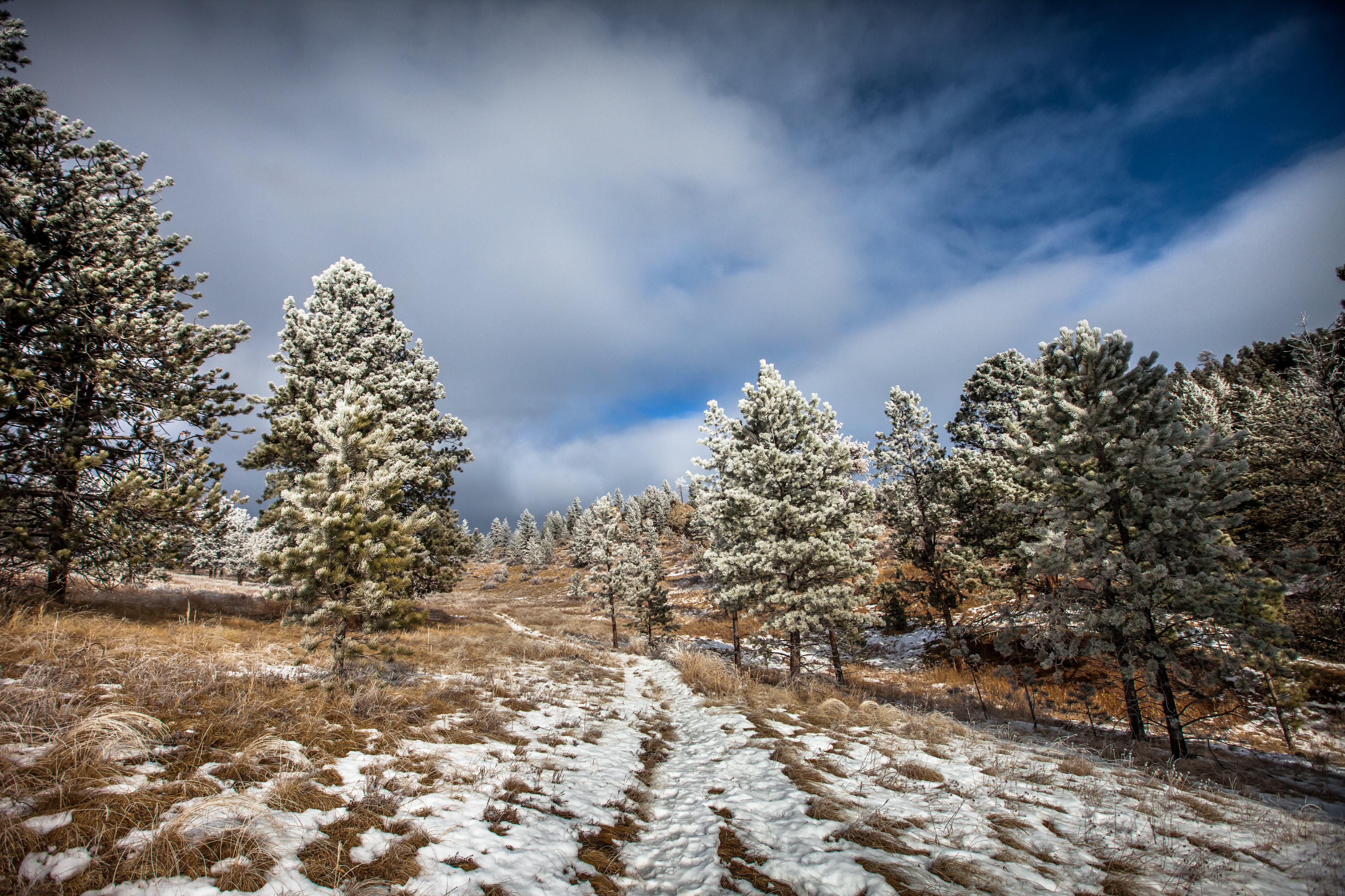 Camp at Coulson Gulch