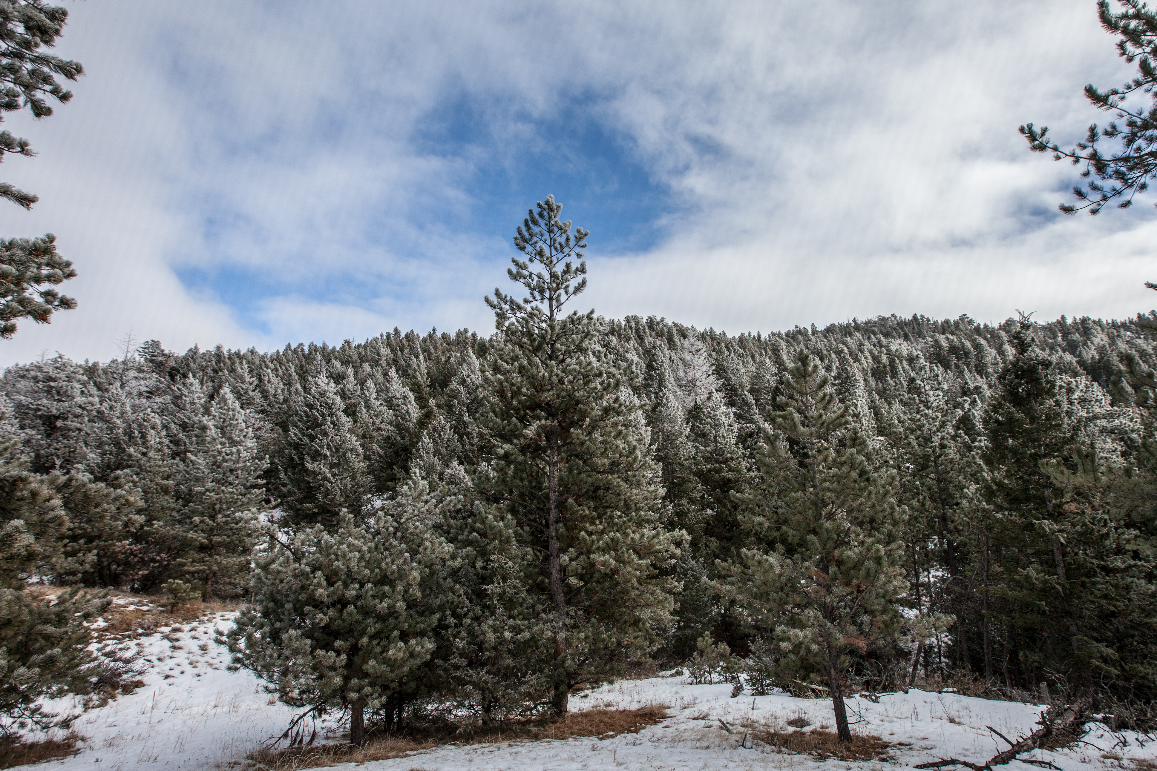 Camp at Coulson Gulch