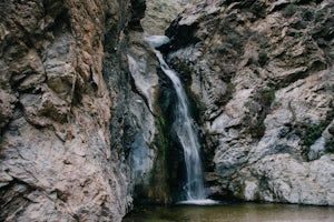 Eaton Canyon Falls via Eaton Canyon Trailhead