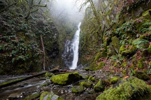 Hiking the Goldmine Trail