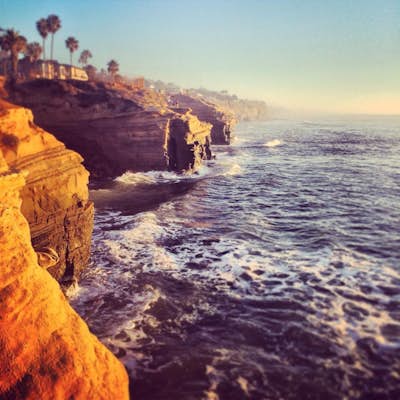 Picnic at Sunset Cliffs in San Diego