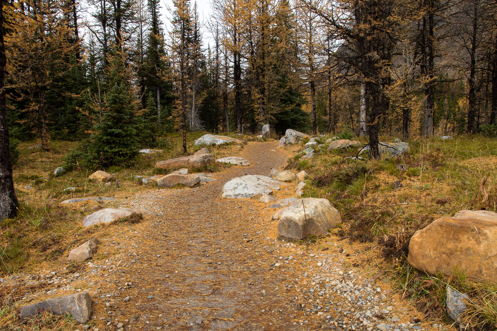 Larch Valley Trail to Minnestimma Lakes