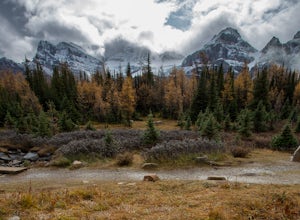 Larch Valley Trail to Minnestimma Lakes