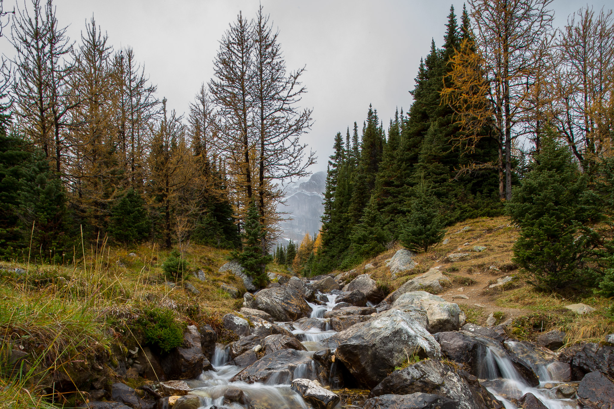 Larch Valley Trail to Minnestimma Lakes
