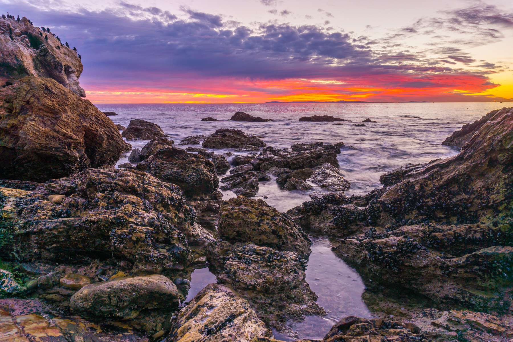 Arches at Little Corona del Mar