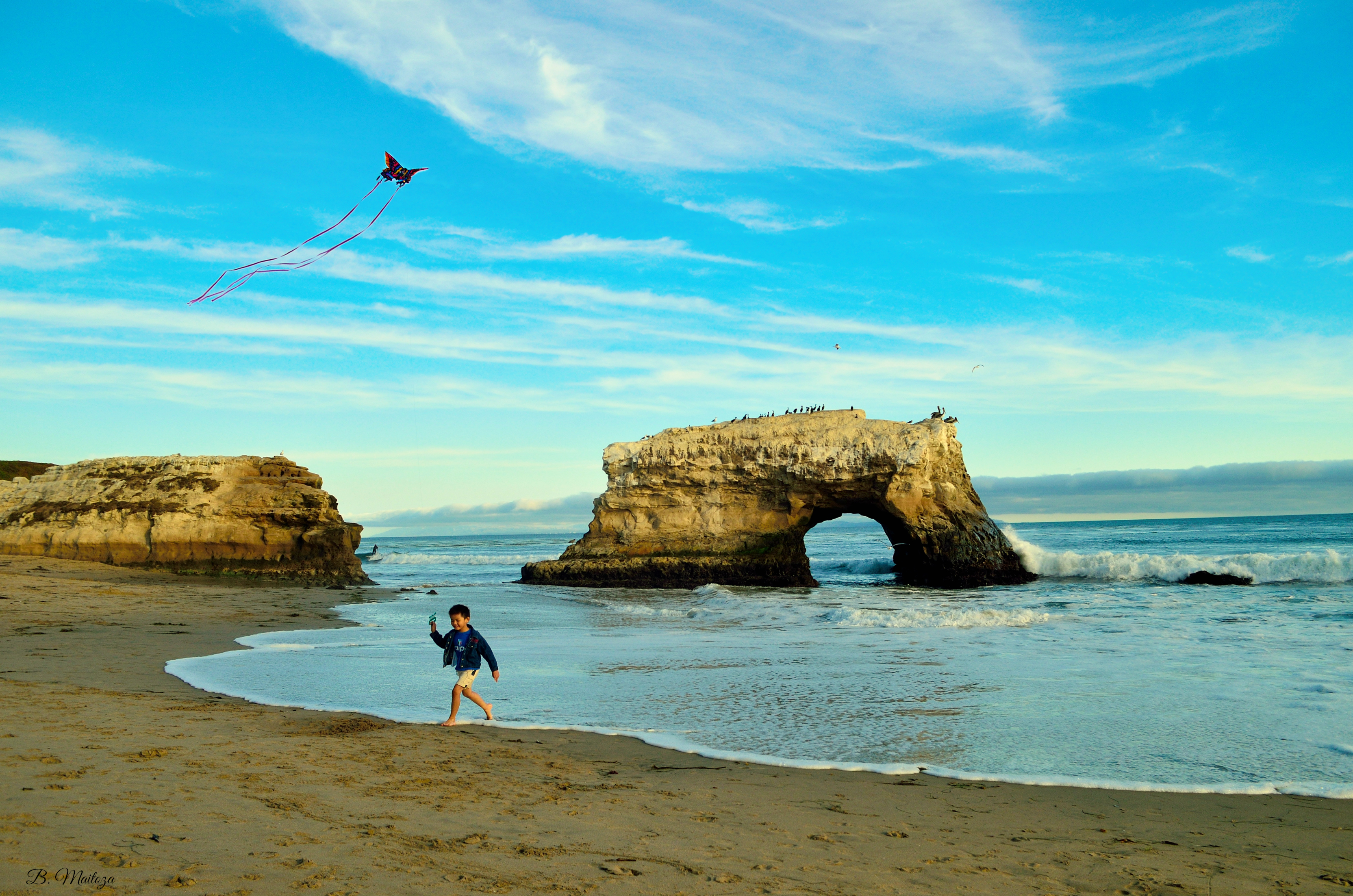 Natural Bridges State Beach