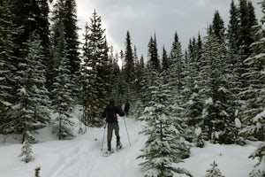 Snowshoe to Rummel Lake and Pass