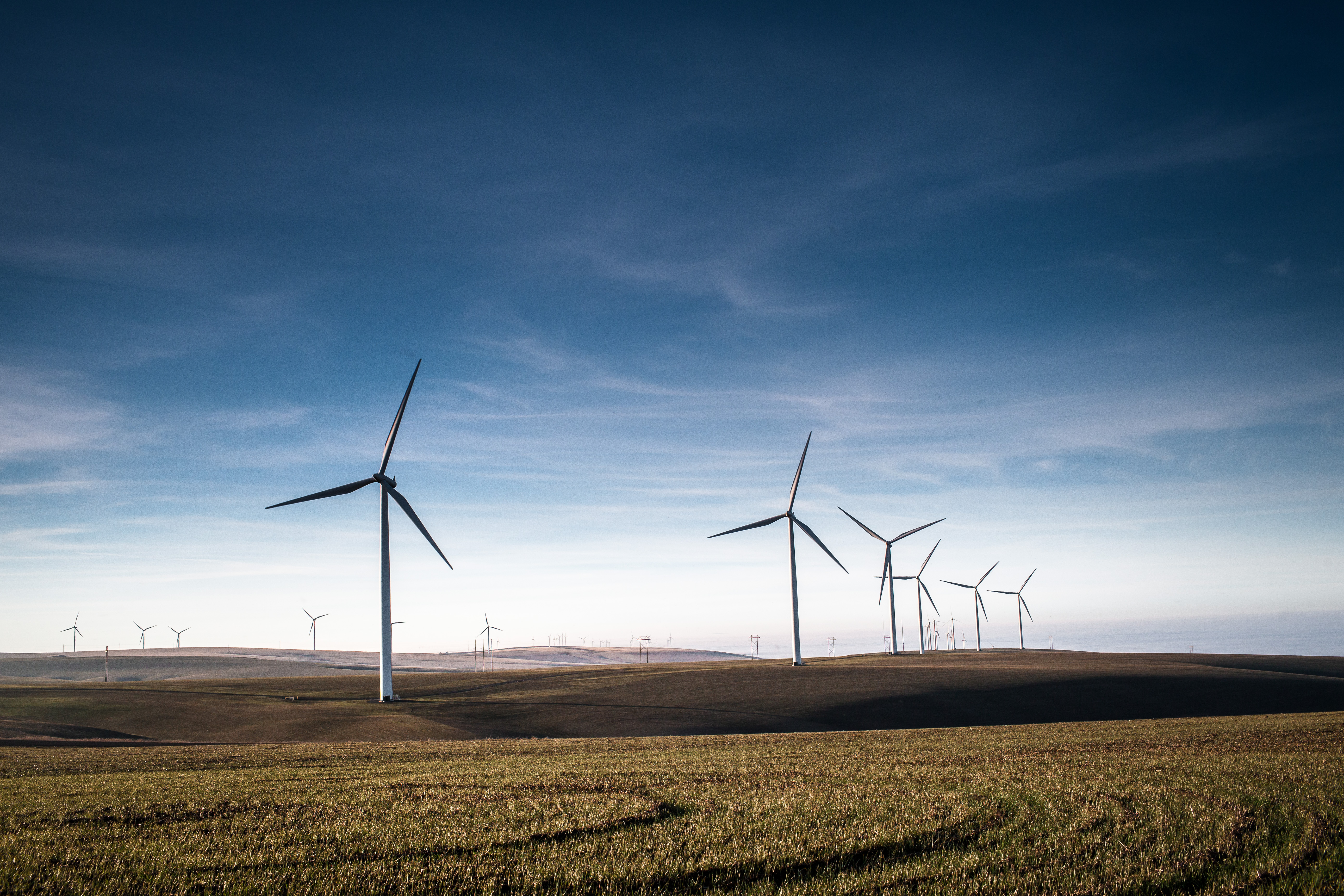 Photograph Stateline Wind Farms