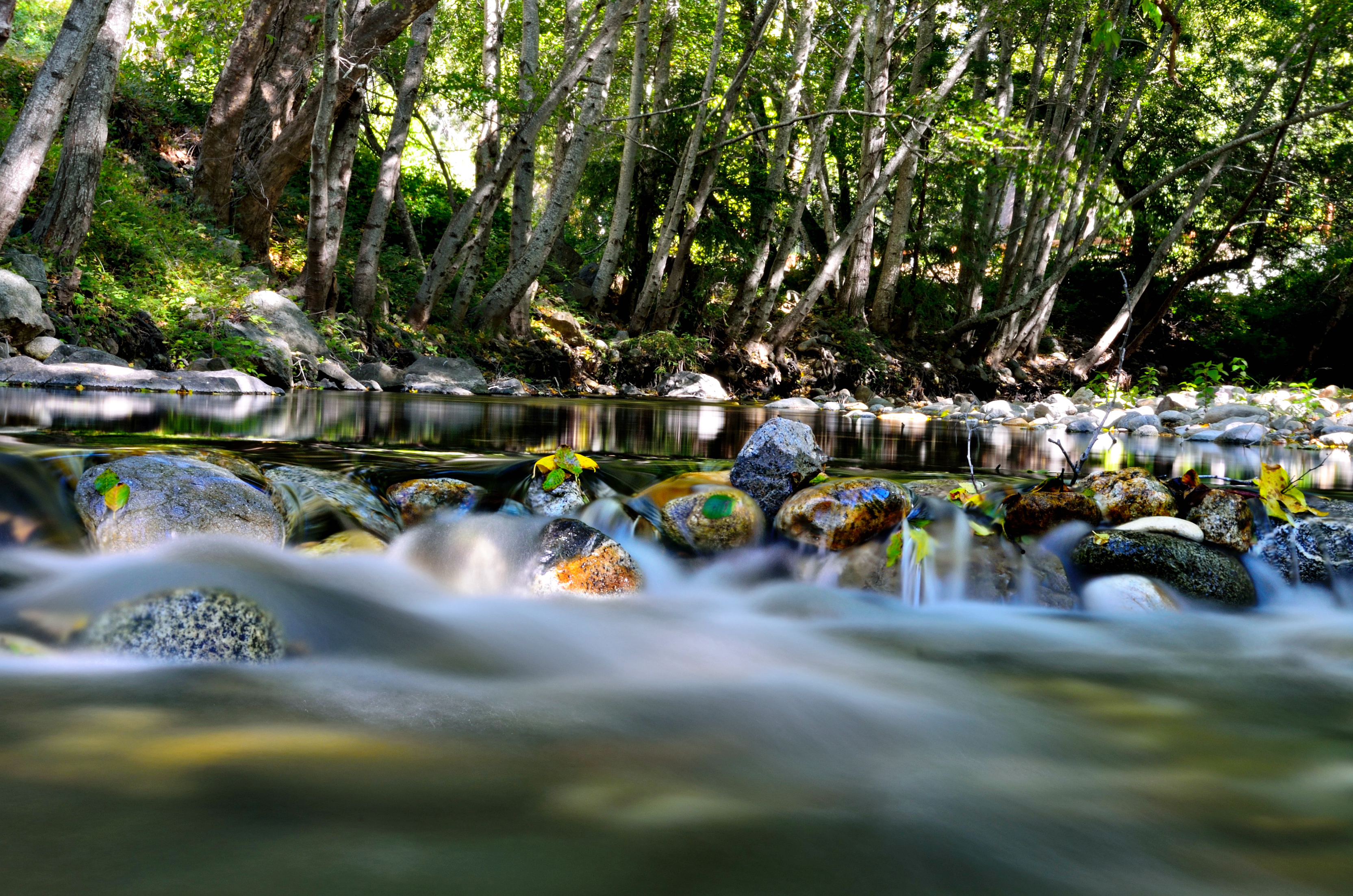 Big Sur River Gorge