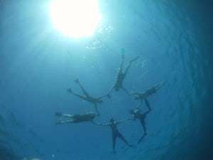 Snorkel at Electric Beach