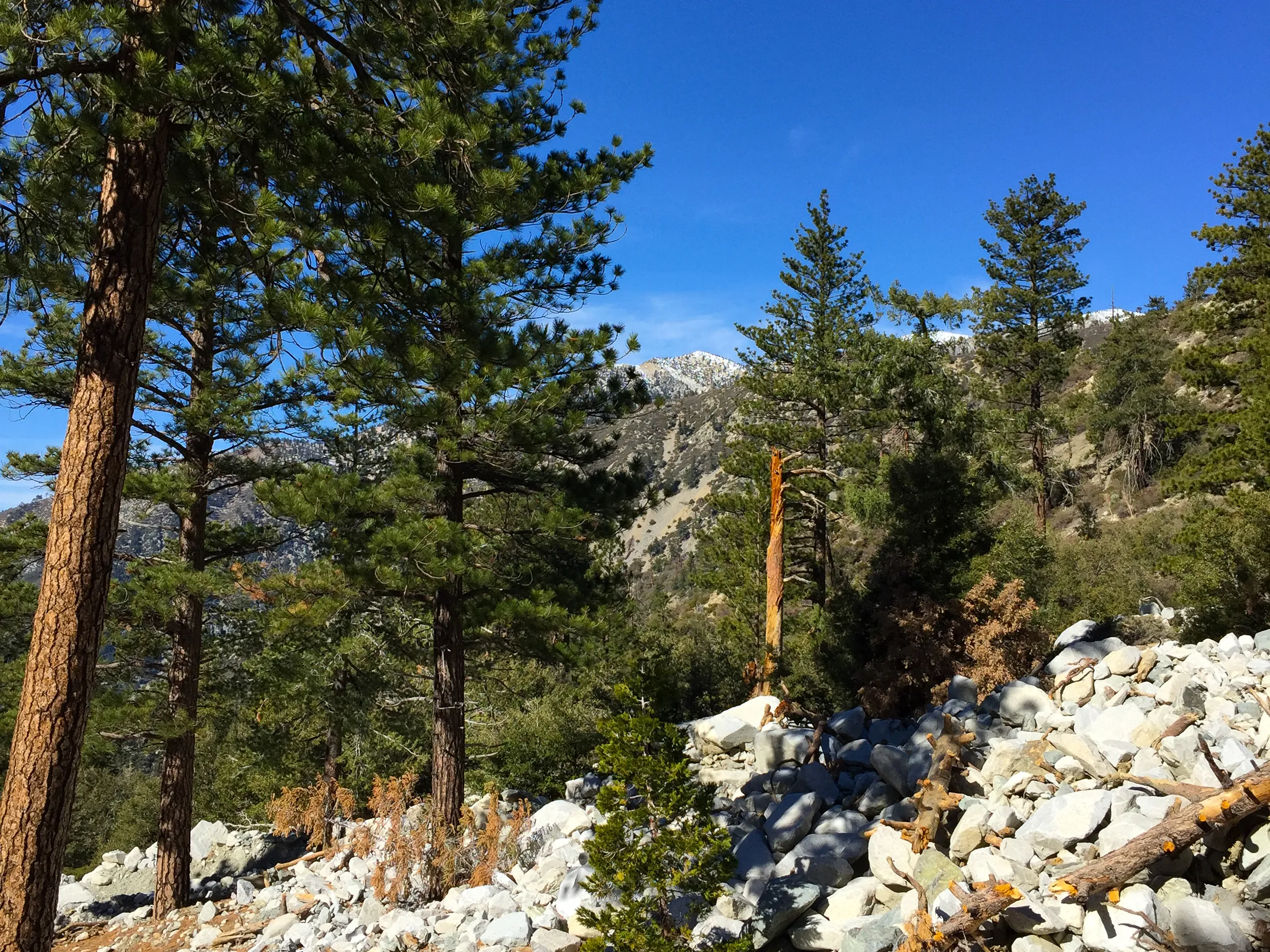 Icehouse Saddle via Icehouse Canyon Trail