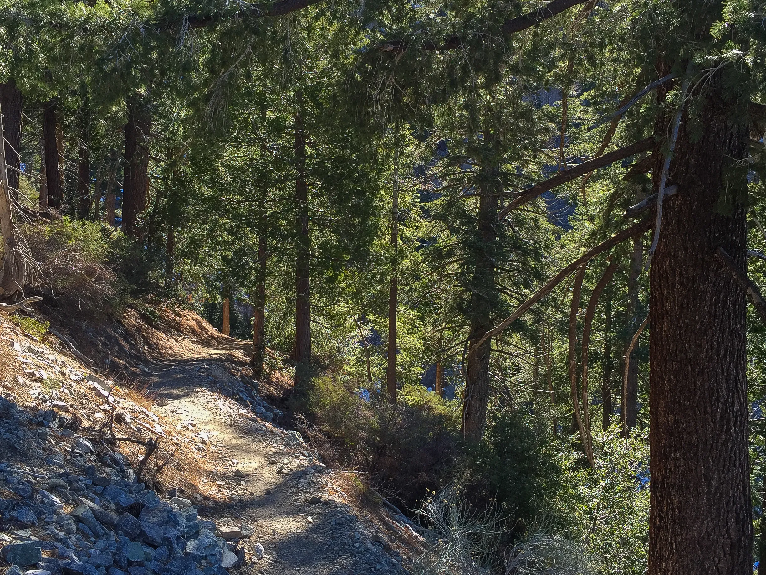 Icehouse Saddle via Icehouse Canyon Trail