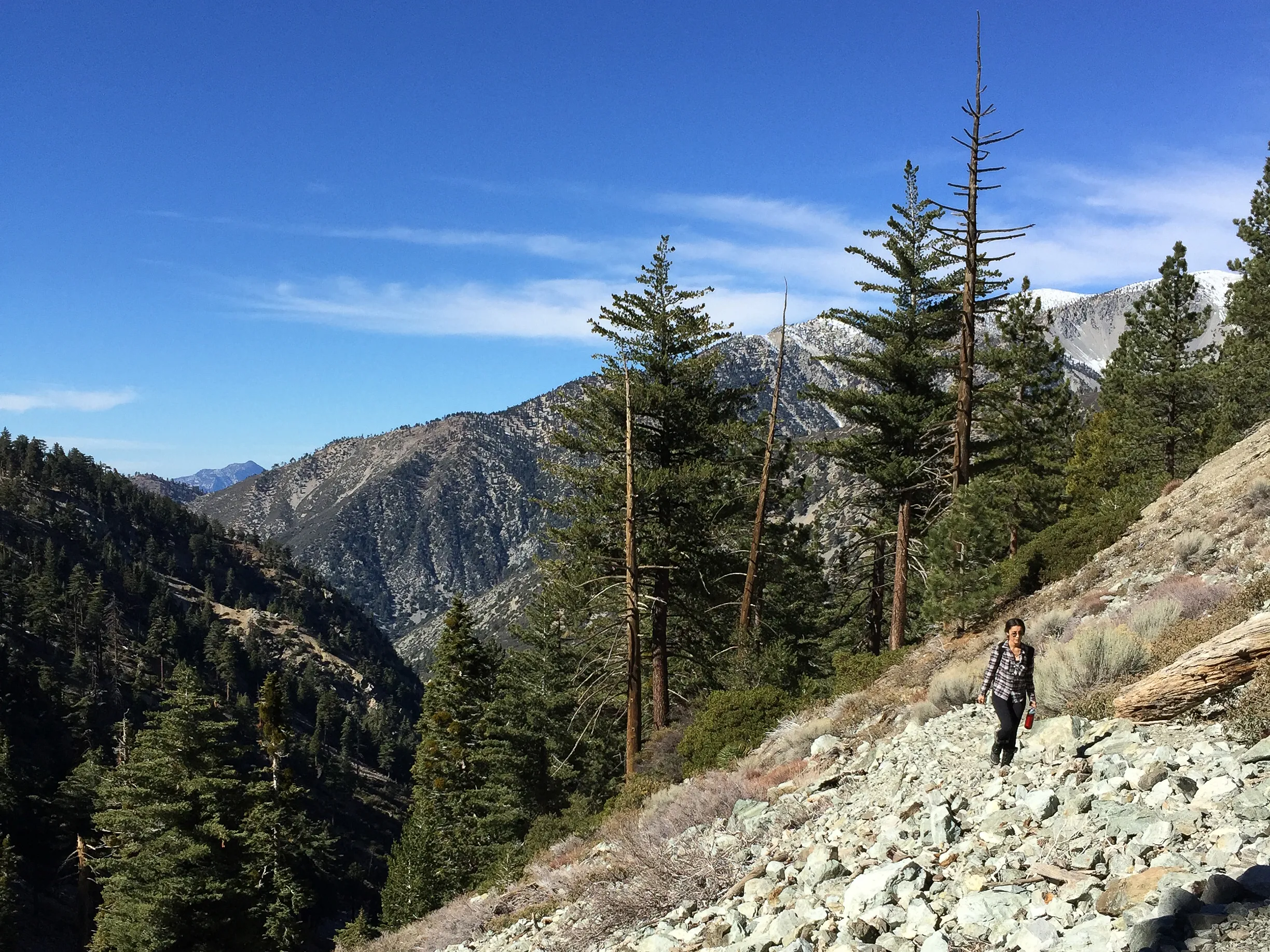 Icehouse Saddle via Icehouse Canyon Trail