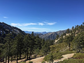 Icehouse Saddle via Icehouse Canyon Trail