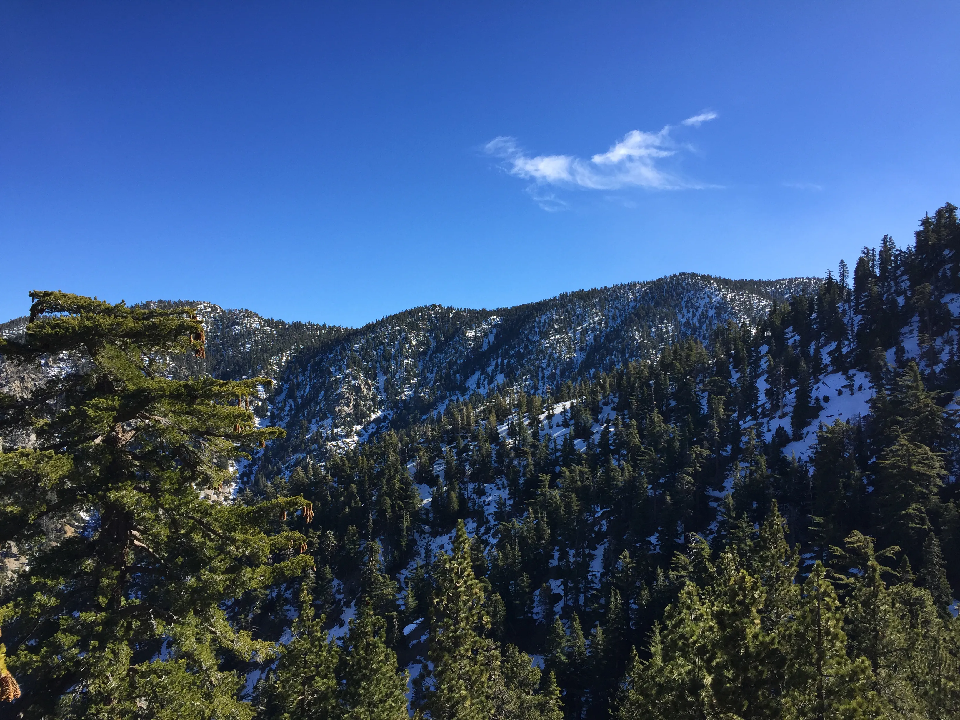 Icehouse Saddle via Icehouse Canyon Trail