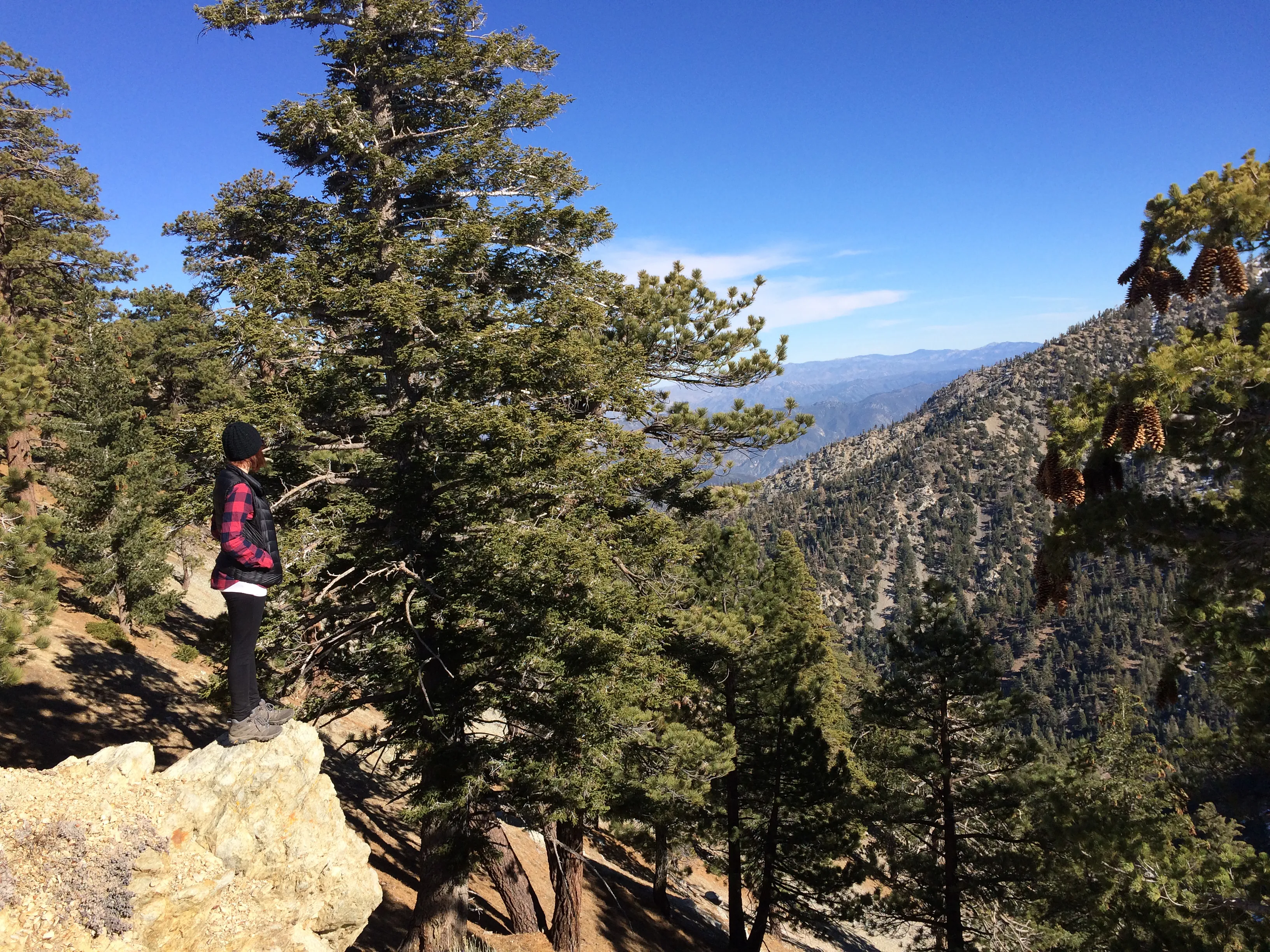 Icehouse Saddle via Icehouse Canyon Trail