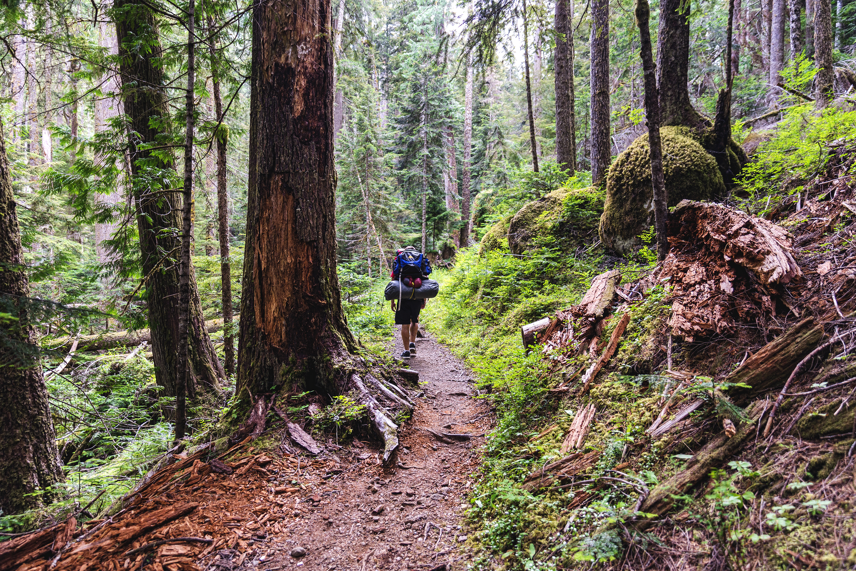 Backpack to Lake Angeles