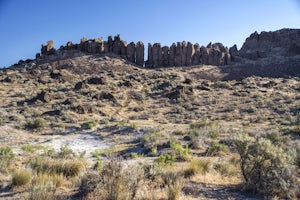 Adventuring in the Frenchman Coulee