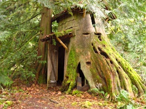 Hike to Guillemont Cove Stump House