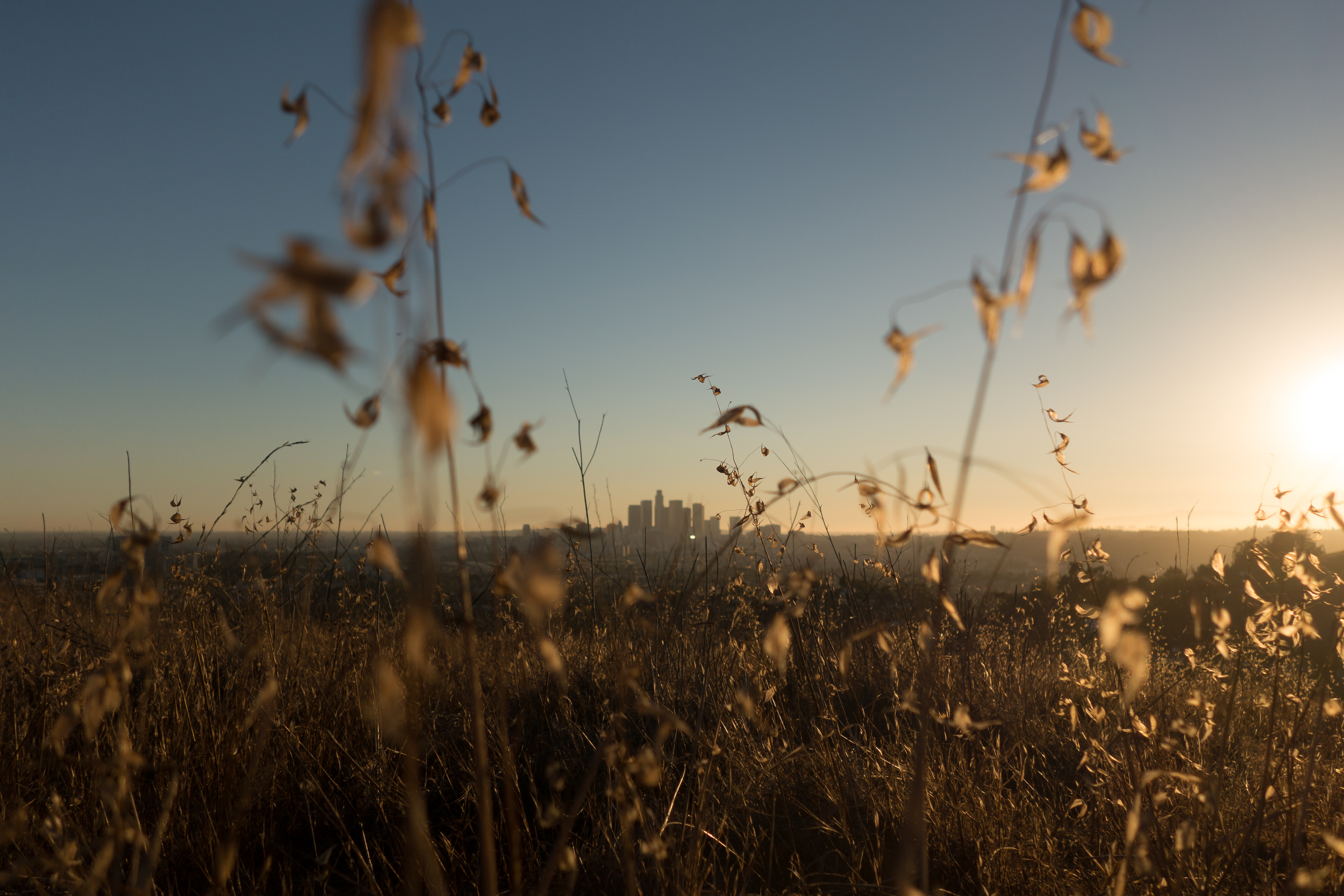 Sunset Hike in Ascot Hills , Los Angeles, California