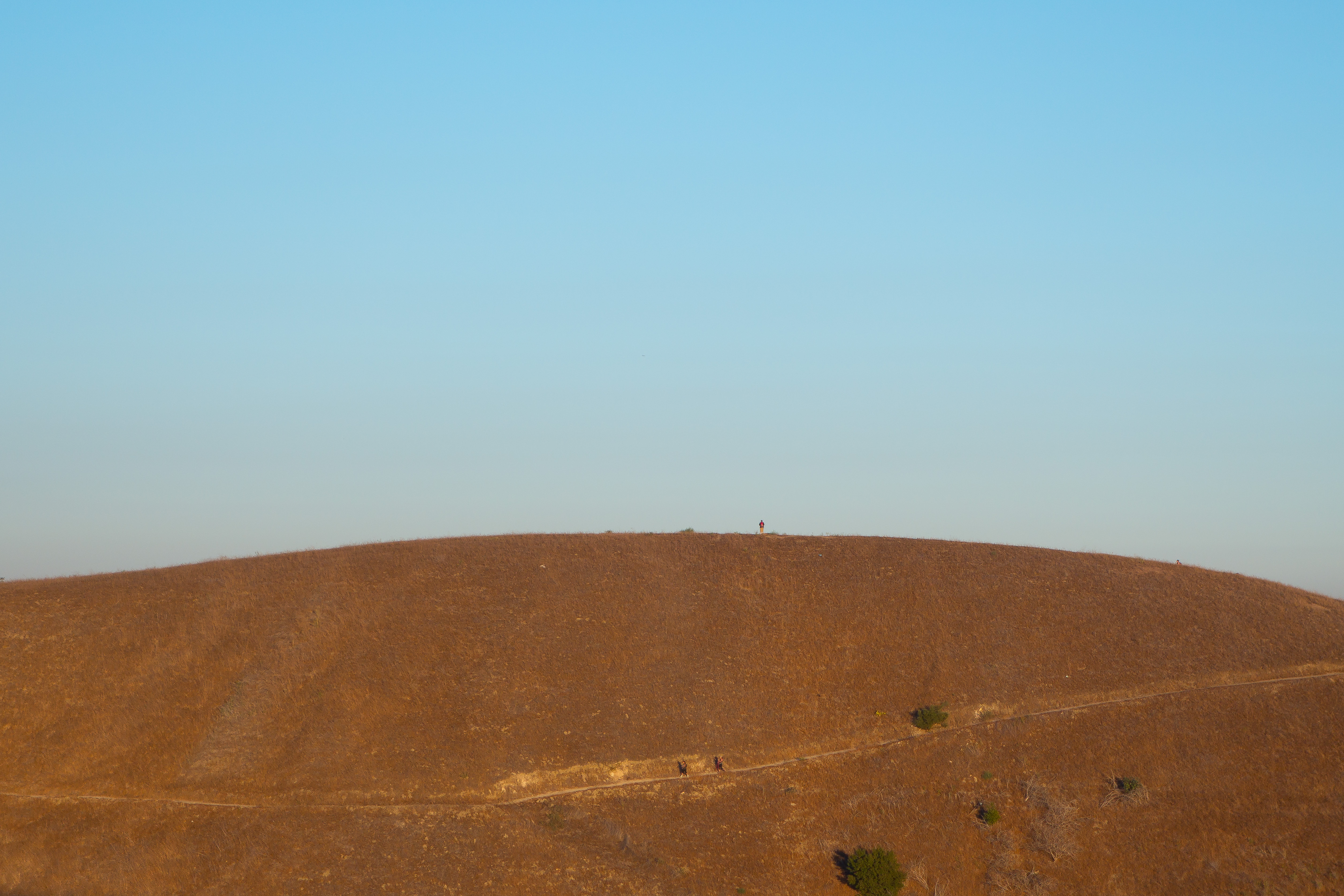 Ascot Hills 