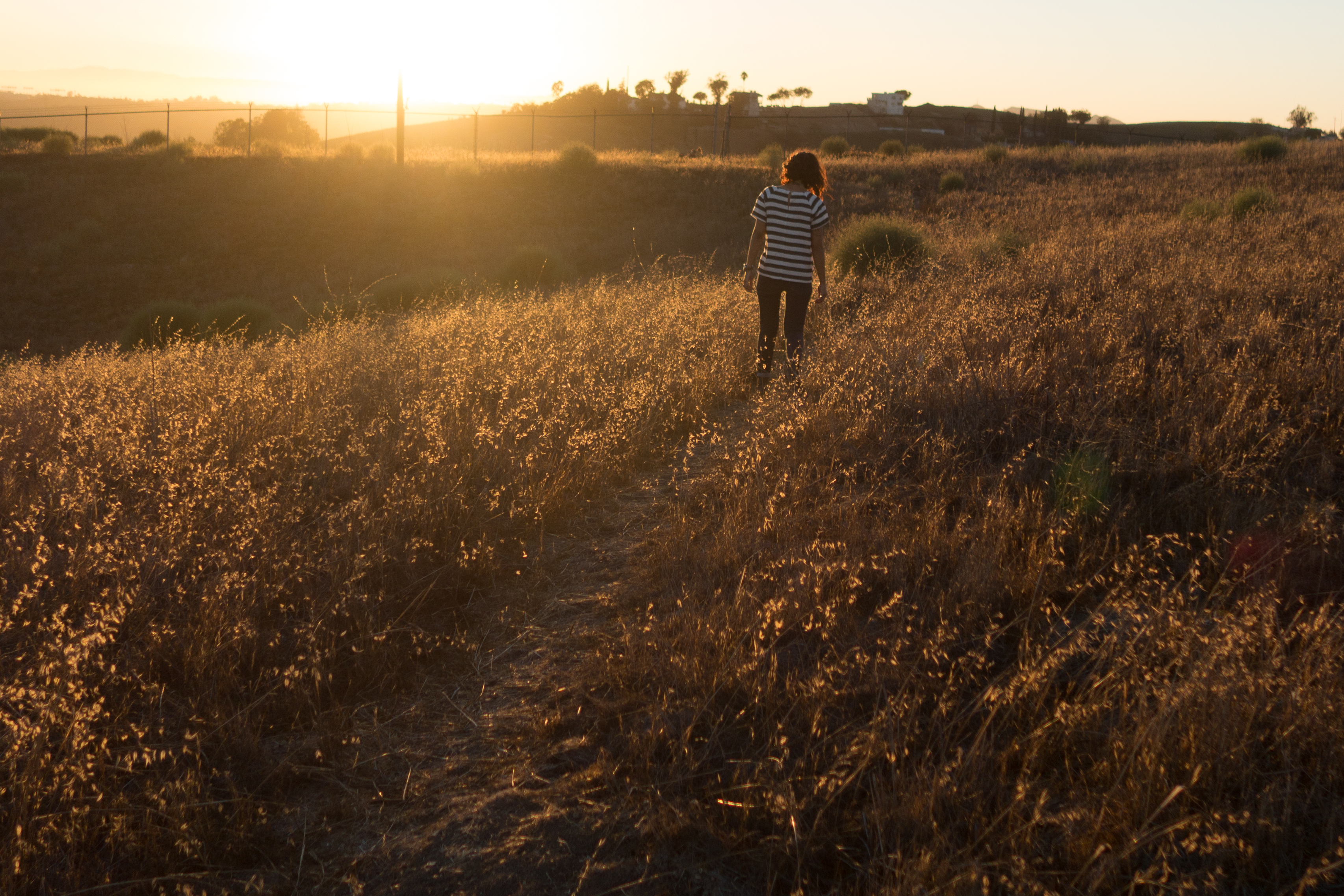 Ascot Hills 