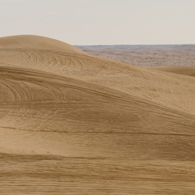 Explore the Algodones Sand Dunes
