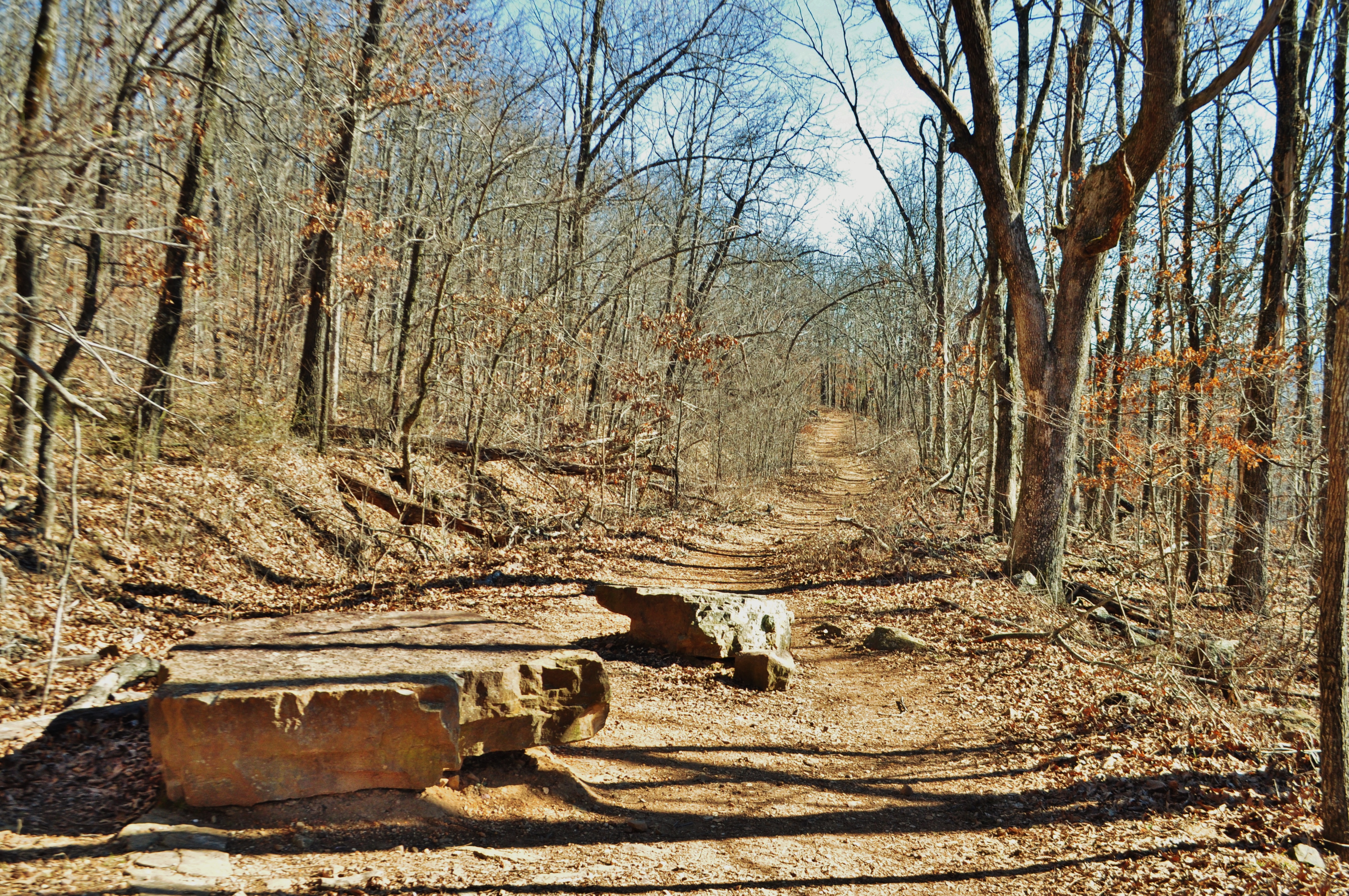 Hike to Scenic Big Bluff