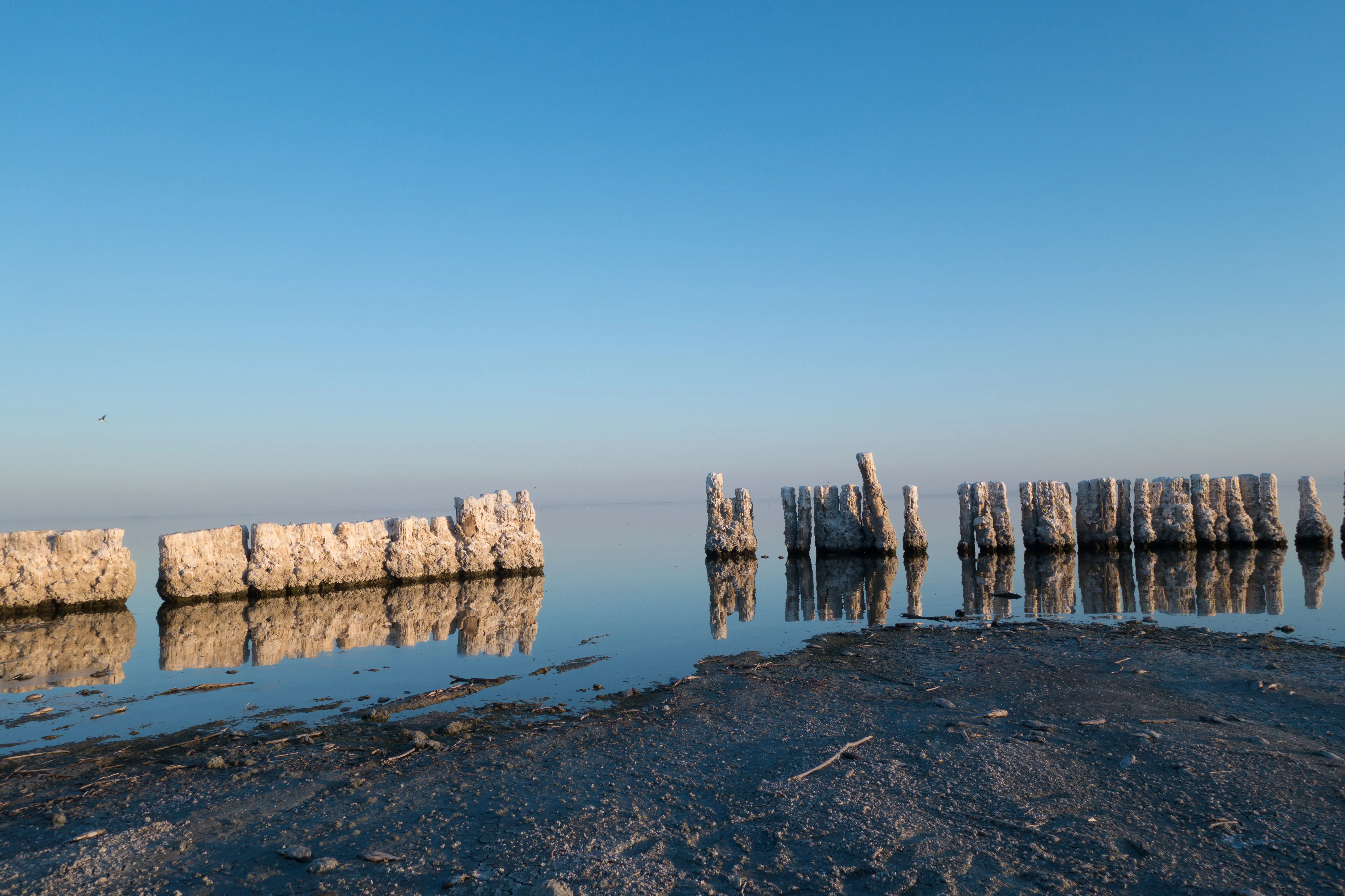 Exploring the Salton Sea