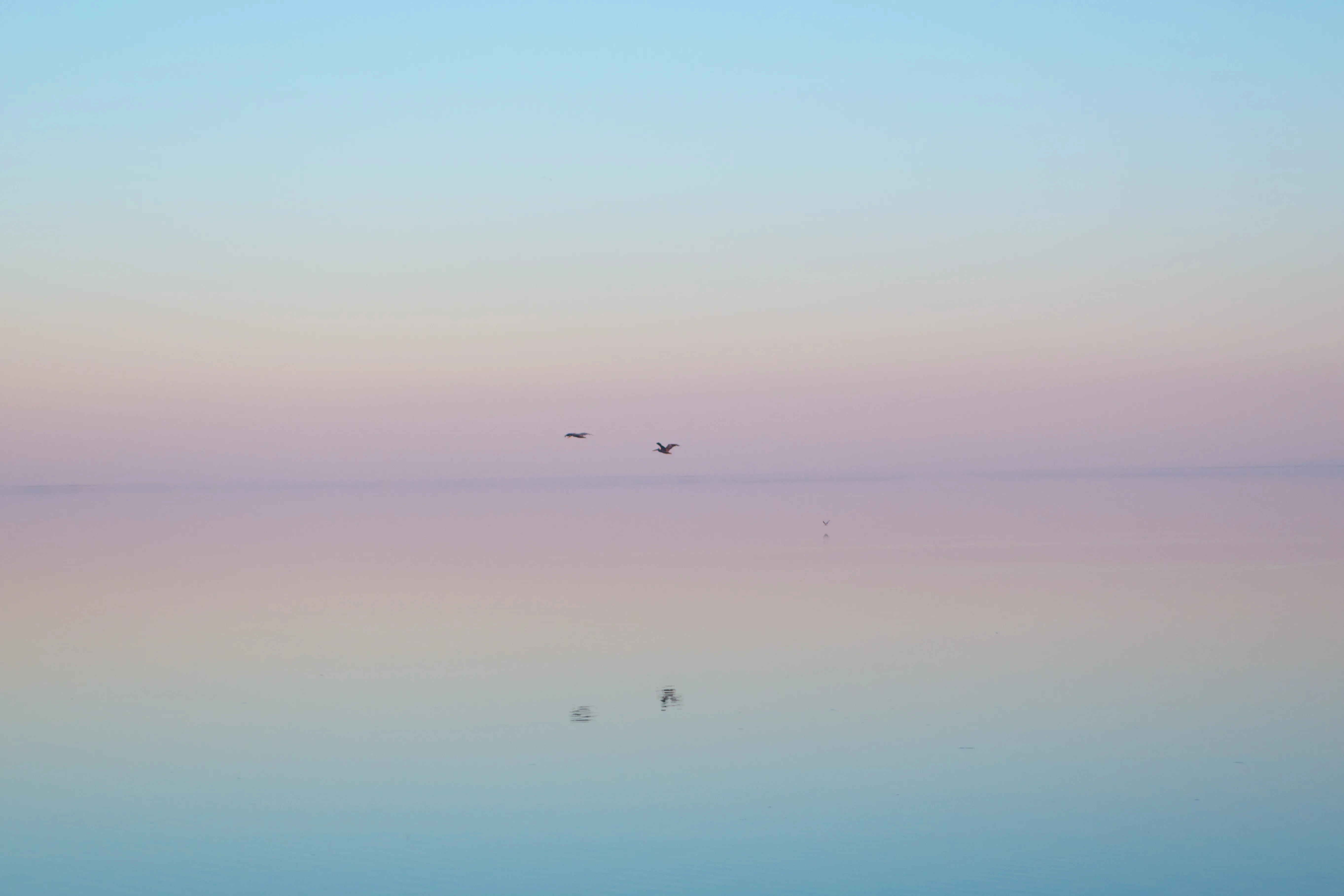 Exploring the Salton Sea