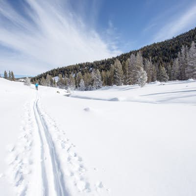 Cross-Country Ski at Bacon Rind Creek