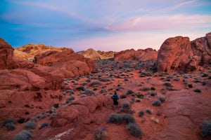 Photographing Rainbow Vista