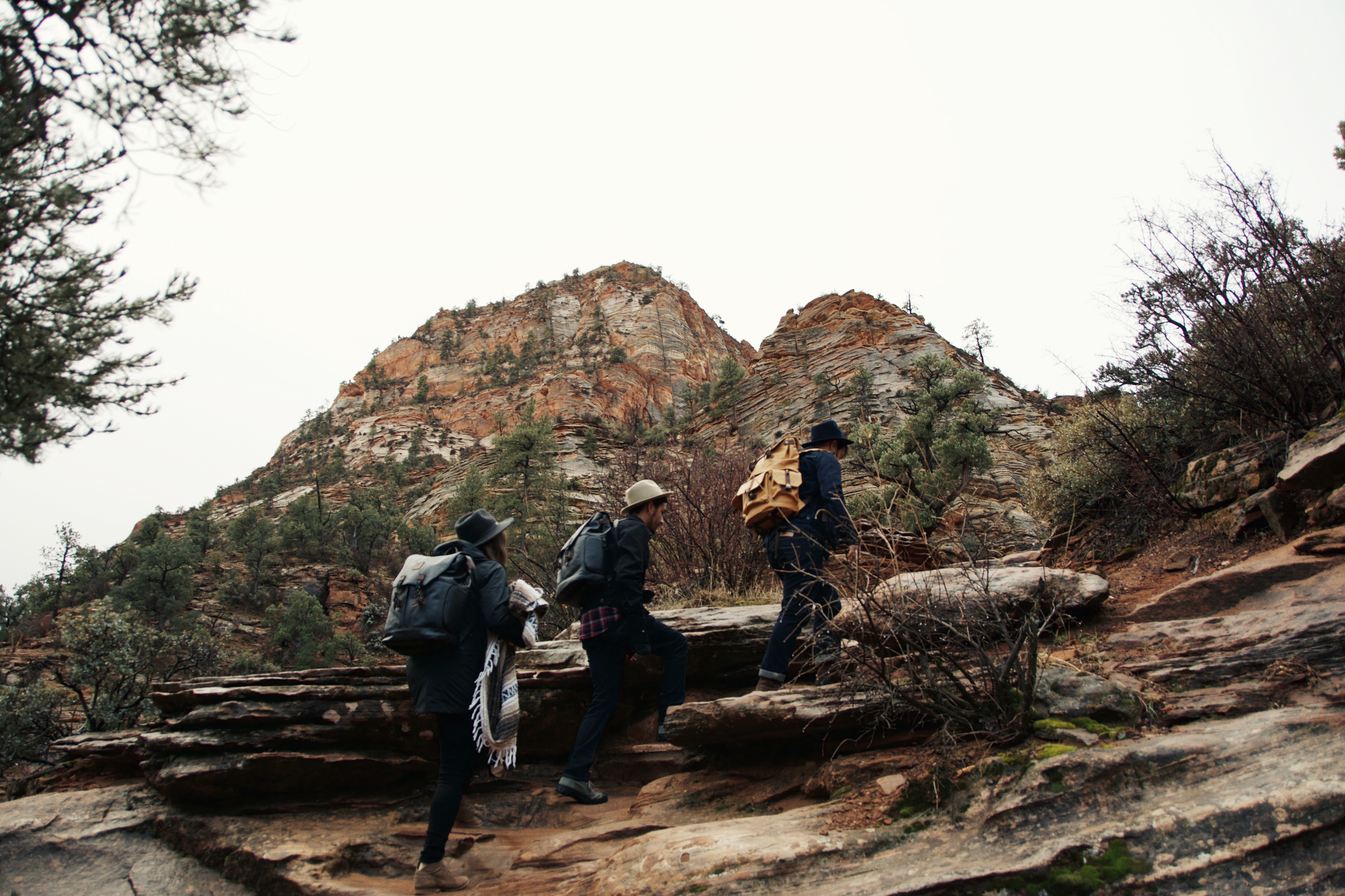 Canyon Overlook Trail