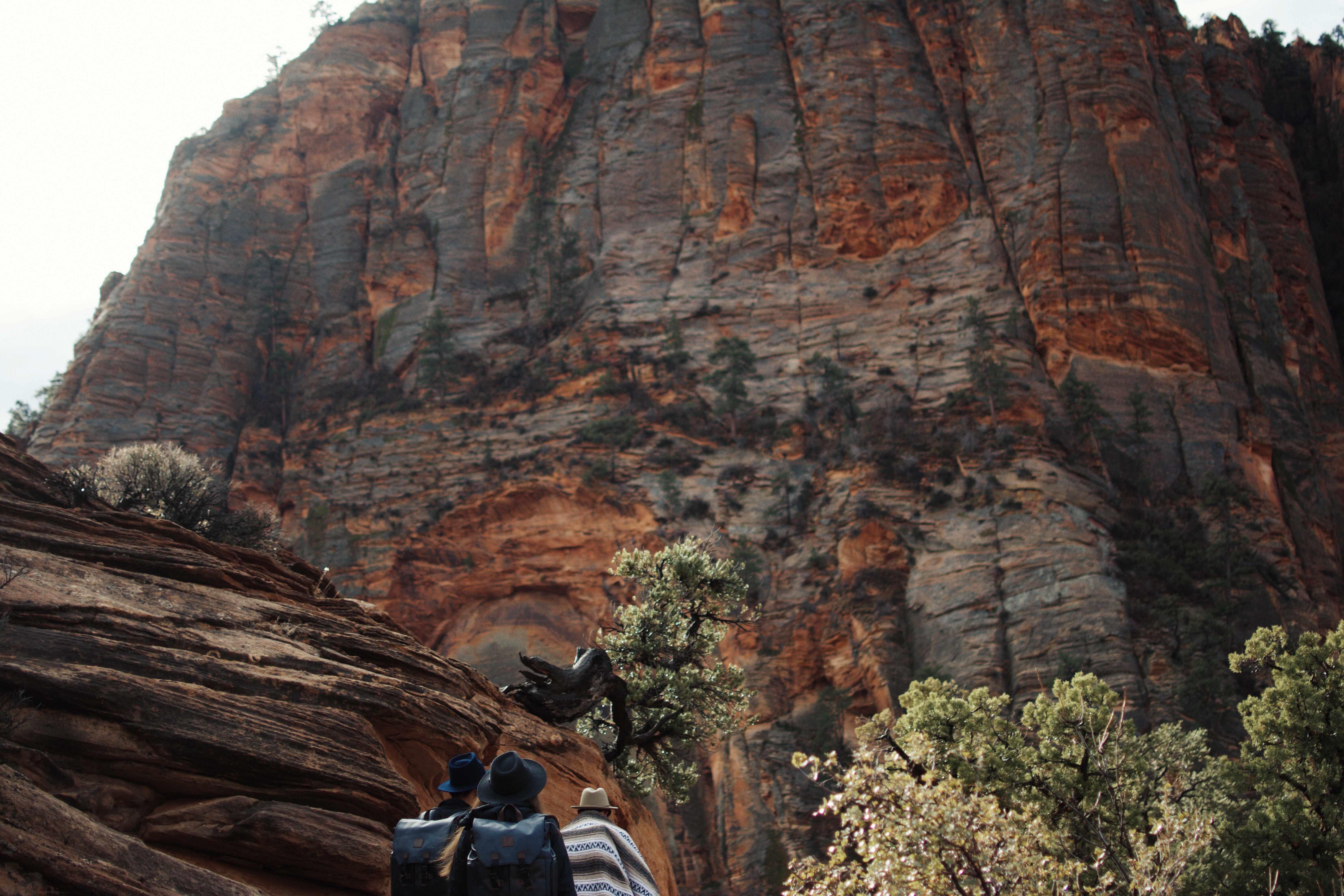 Canyon Overlook Trail