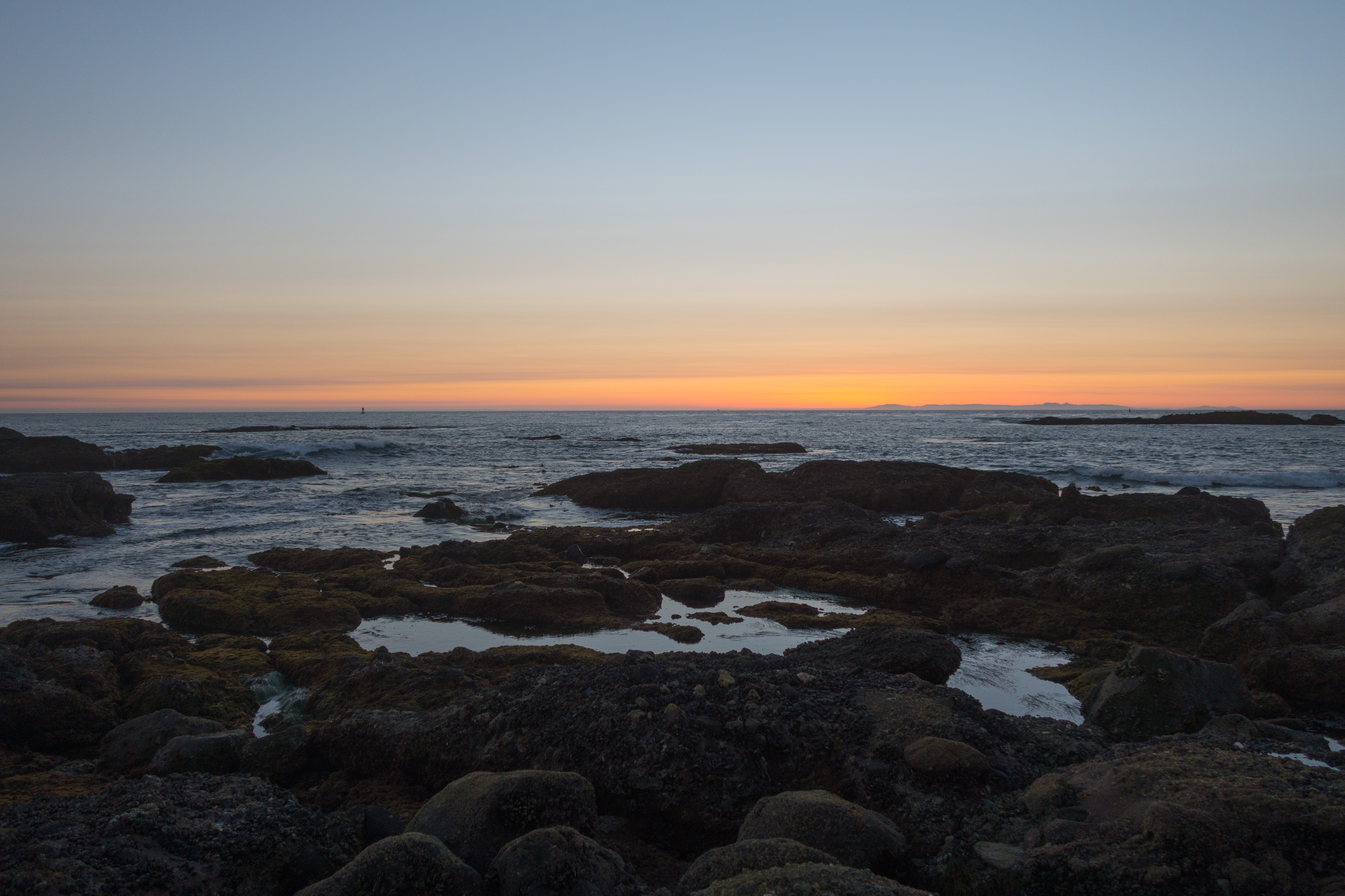 Dana Point Tide Pools, Dana Point, California