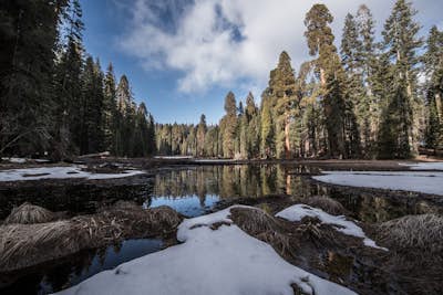 2-day Sequoia National Park Winter Trip