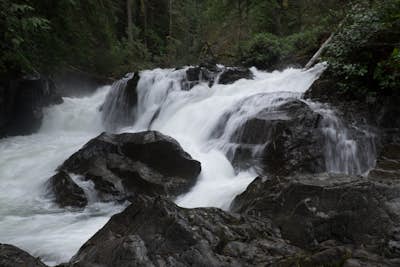 Hike Little Qualicum River and Falls