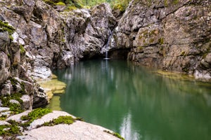 Hike Little Qualicum River and Falls