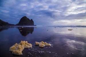 Evening at Piha Beach