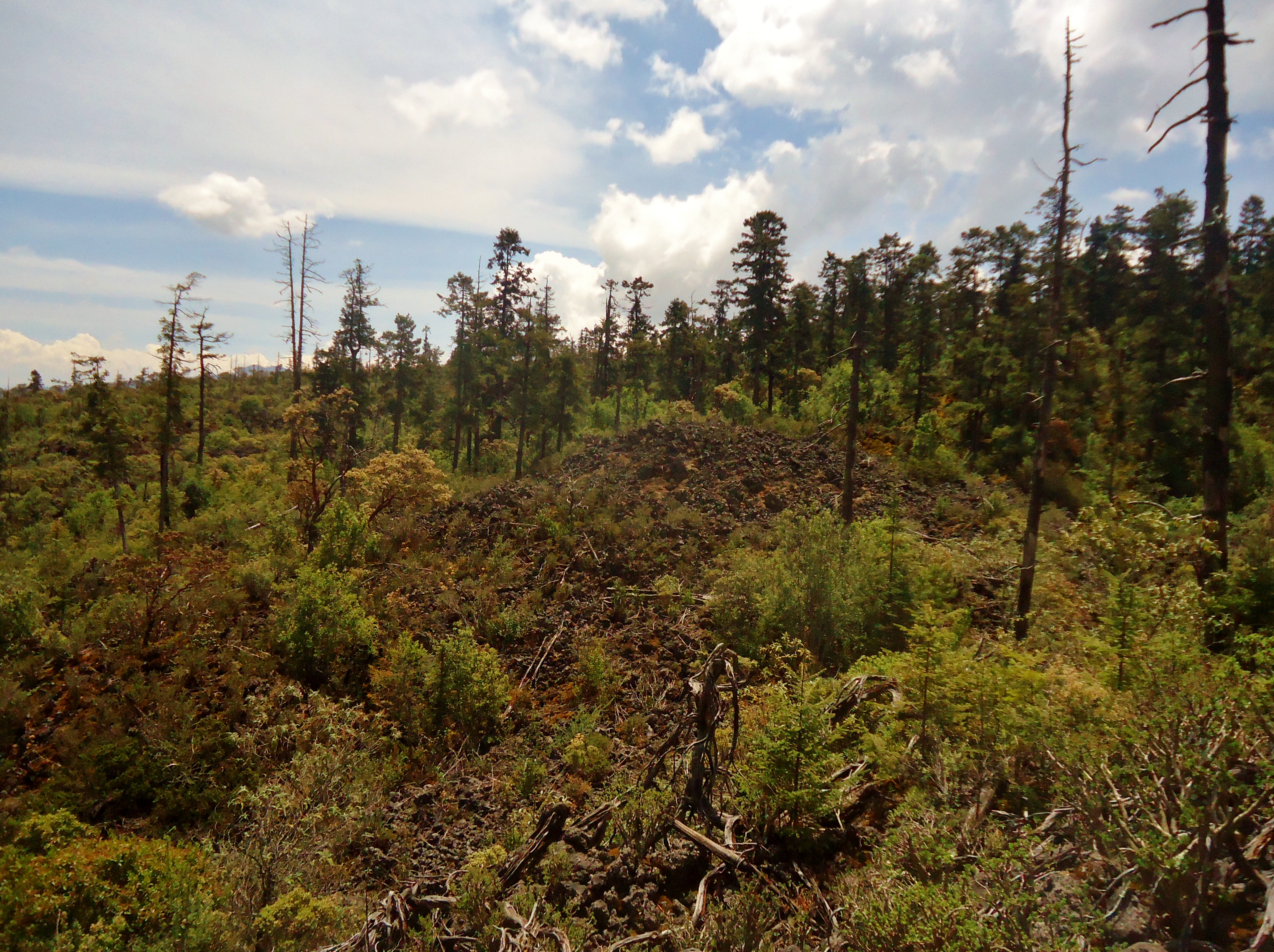 Hiking to Chichinautzin Volcano