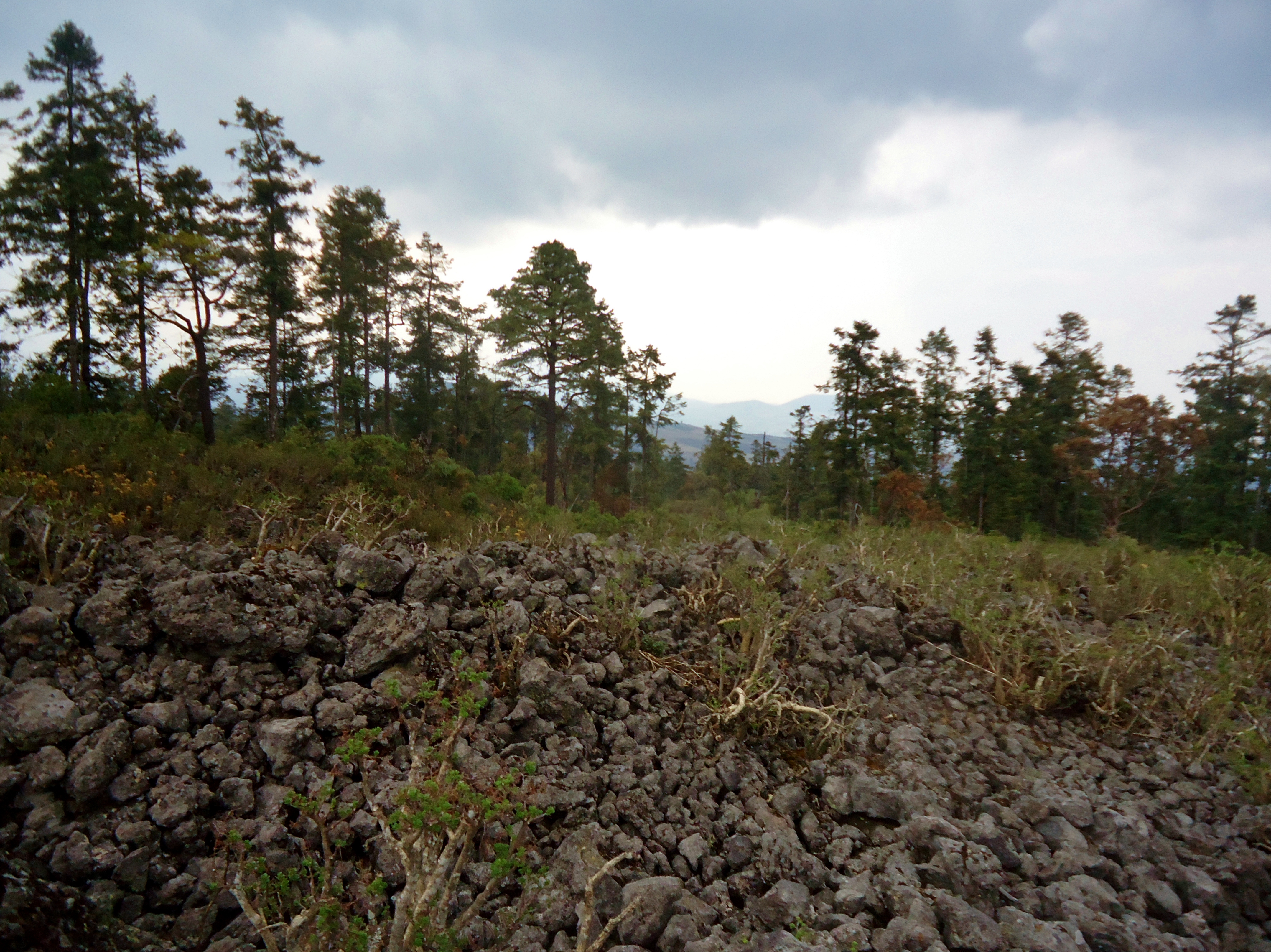 Hiking to Chichinautzin Volcano