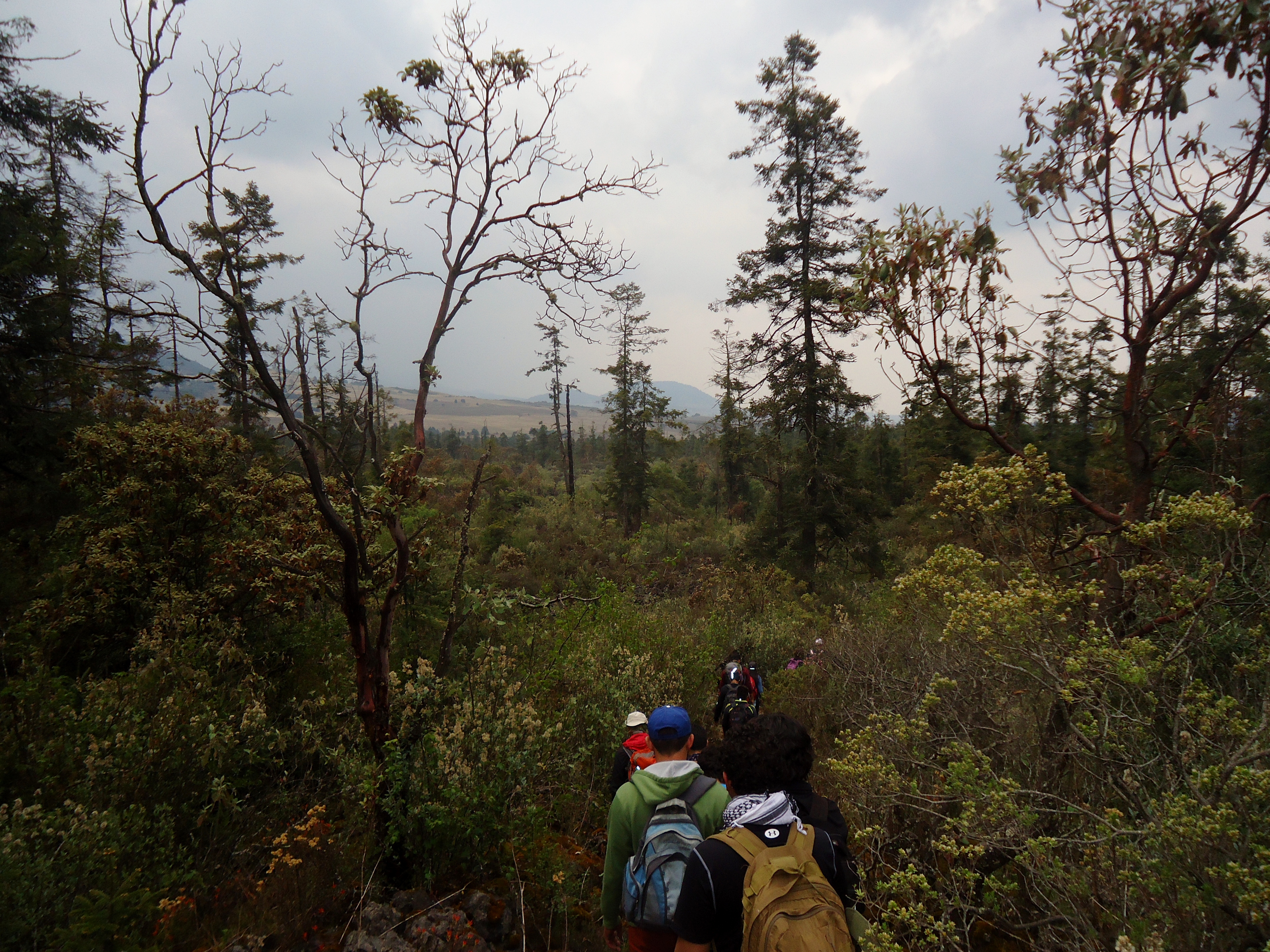 Hiking to Chichinautzin Volcano