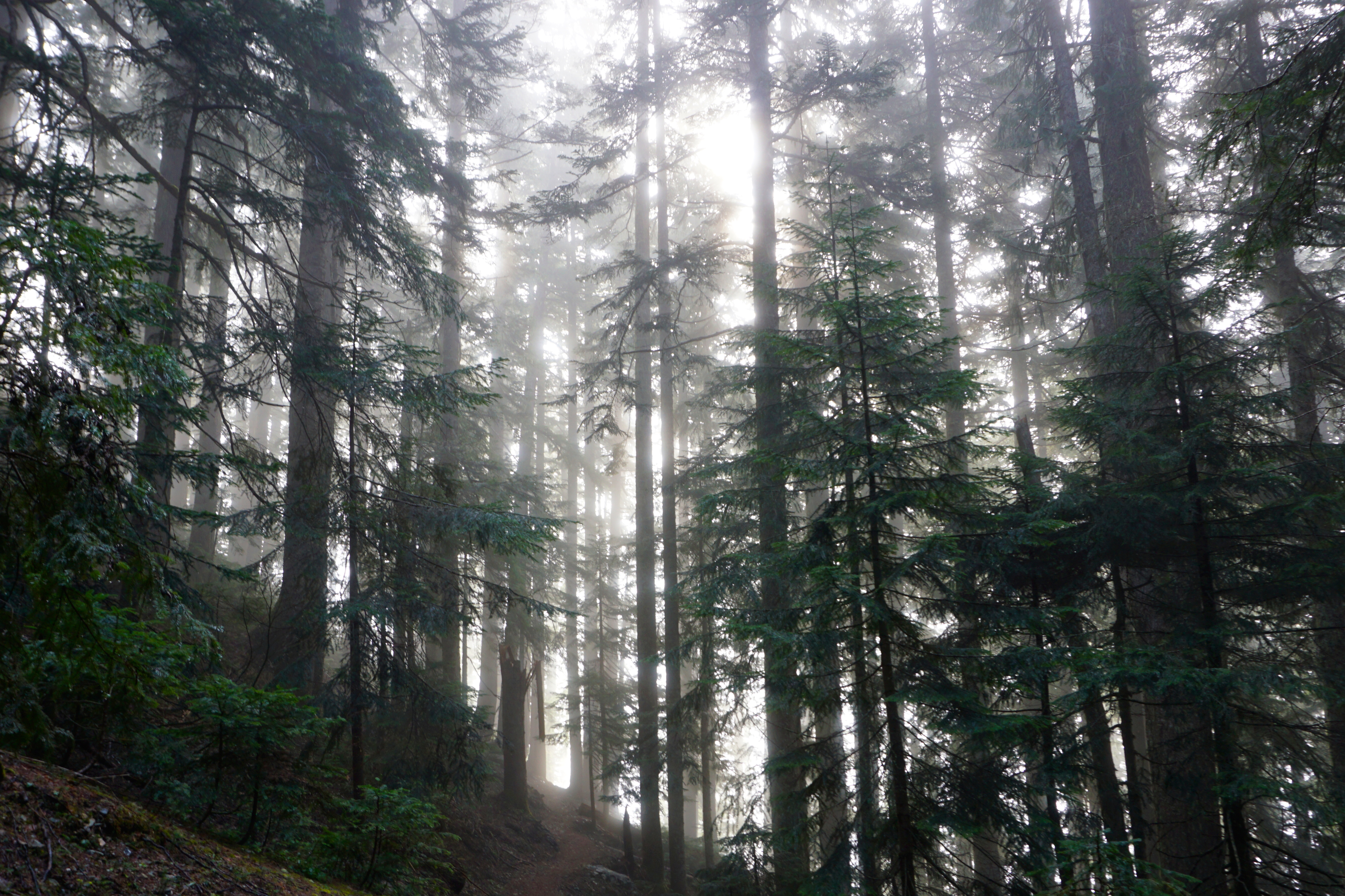 Beckler Peak