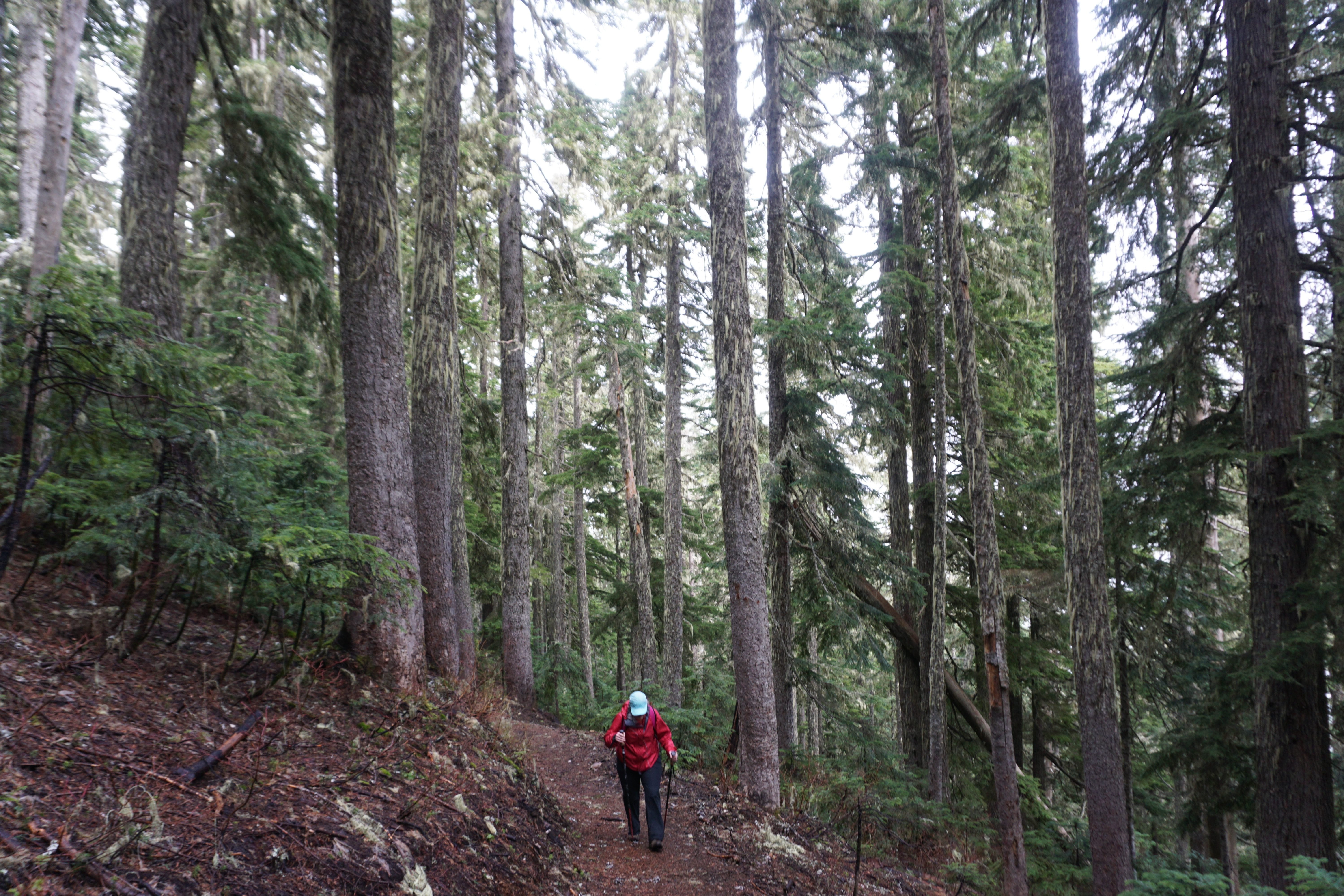 Beckler Peak