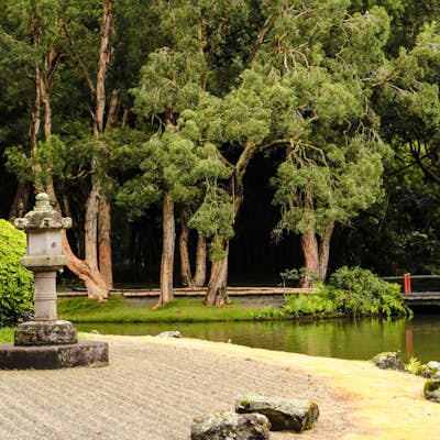 Visit the Byodo-In Temple