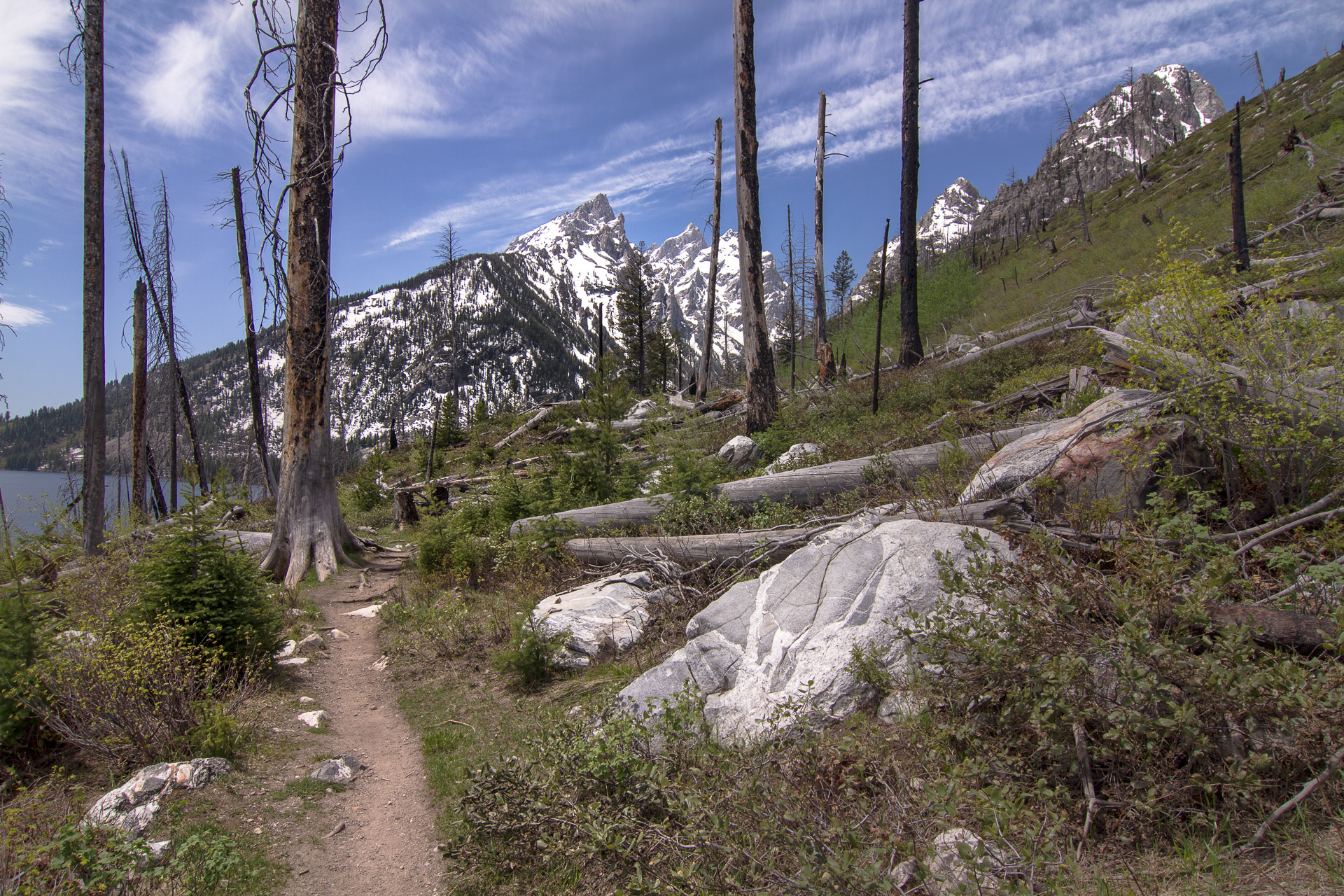 Jenny Lake Loop