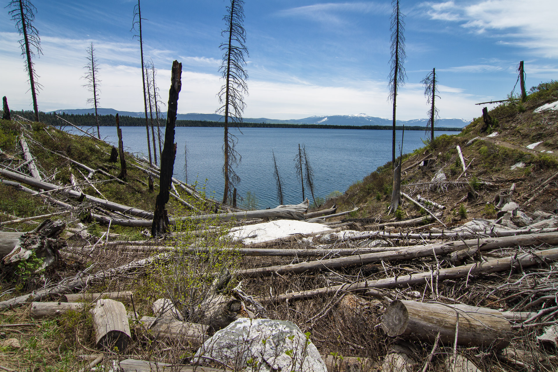 Jenny Lake Loop